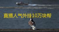 直播人气外挂10万块帮你从末位主播上热搜